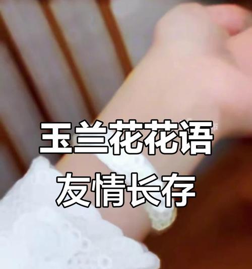 友谊的花语是什么？寓意表有哪些？