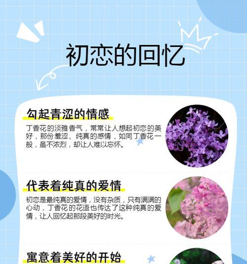 丁香的花语是什么？有哪些传说故事？