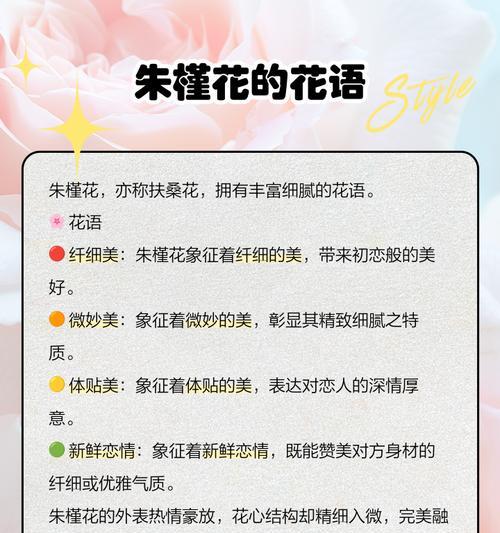广西朱槿花的花语有哪些？它在当地文化中扮演什么角色？