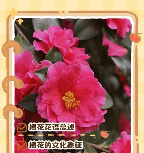 哪种花的花语最为深刻？它背后的故事是什么？