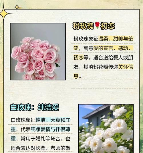 哪种花的花语最为深刻？它背后的故事是什么？