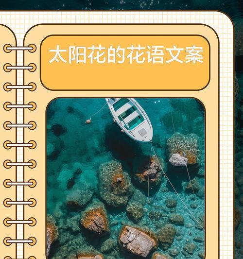 微笑的太阳花花语是什么？它如何表达乐观态度？