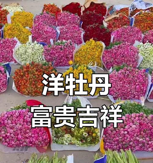 植物的花语是幸福吗？哪些植物象征着幸福？