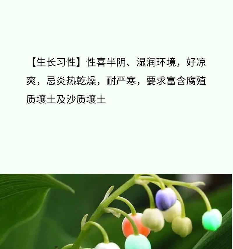 植物的花语是幸福吗？哪些植物象征着幸福？
