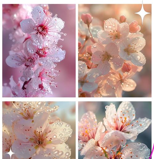 桃花的花语及简介有哪些？桃花象征着什么？