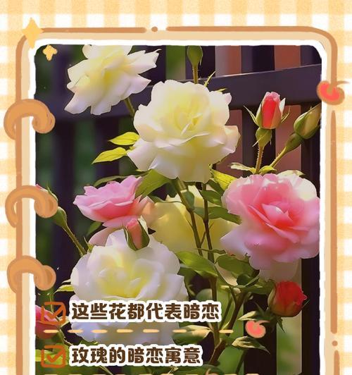 日本黄水仙的花语是什么？如何表达爱意？