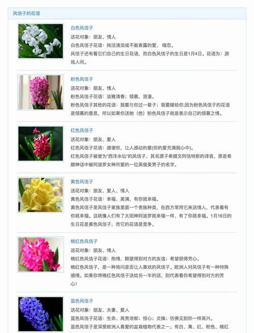 日本黄水仙的花语是什么？如何表达爱意？