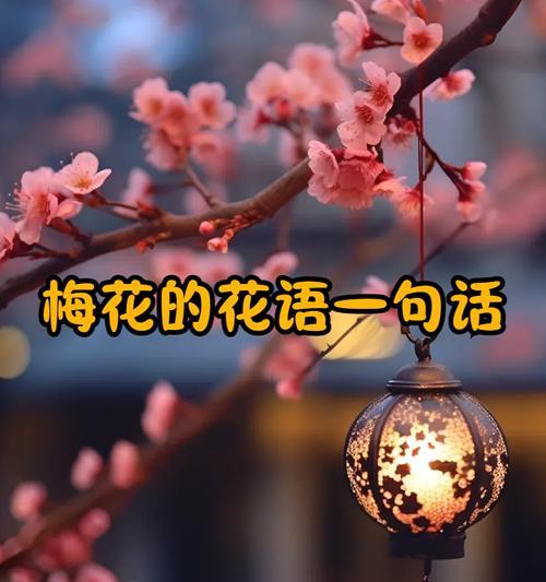 梅花的花语有哪些含义？它在中国文化中象征什么？