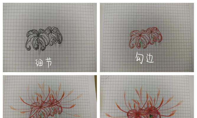 曼陀罗之花的花语有哪些？它传递了哪些信息？