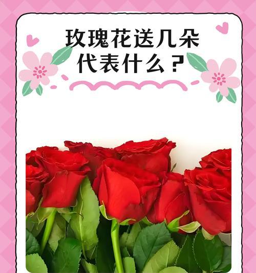 玫瑰的花语和含义有哪些？如何选择玫瑰表达爱？