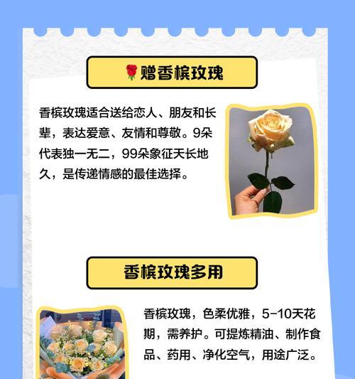 玫瑰的花语和含义有哪些？如何选择玫瑰表达爱？