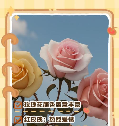 玫瑰的花语和含义有哪些？如何选择玫瑰表达爱？