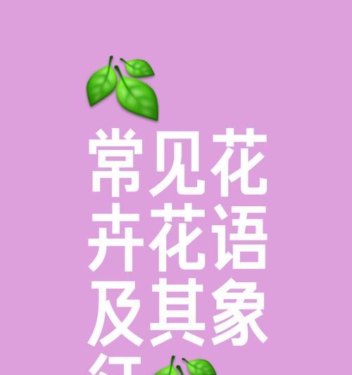 温暖开朗的花语有哪些？它们如何传递正能量？
