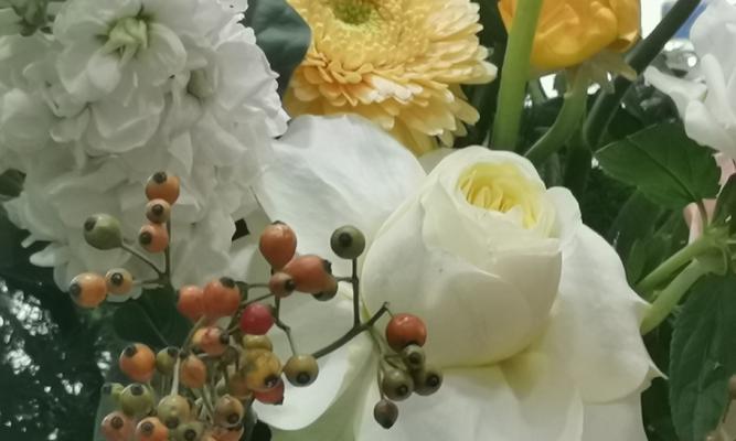 花语代表怀念和父爱的花卉有哪些？