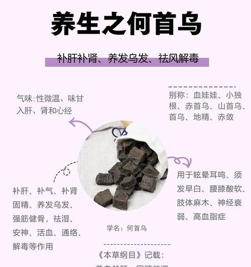 何首乌植物的花语有何特殊含义？