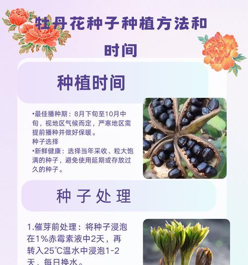 室内牡丹养殖需要注意什么？