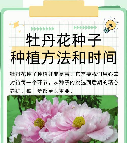 室内牡丹养殖需要注意什么？