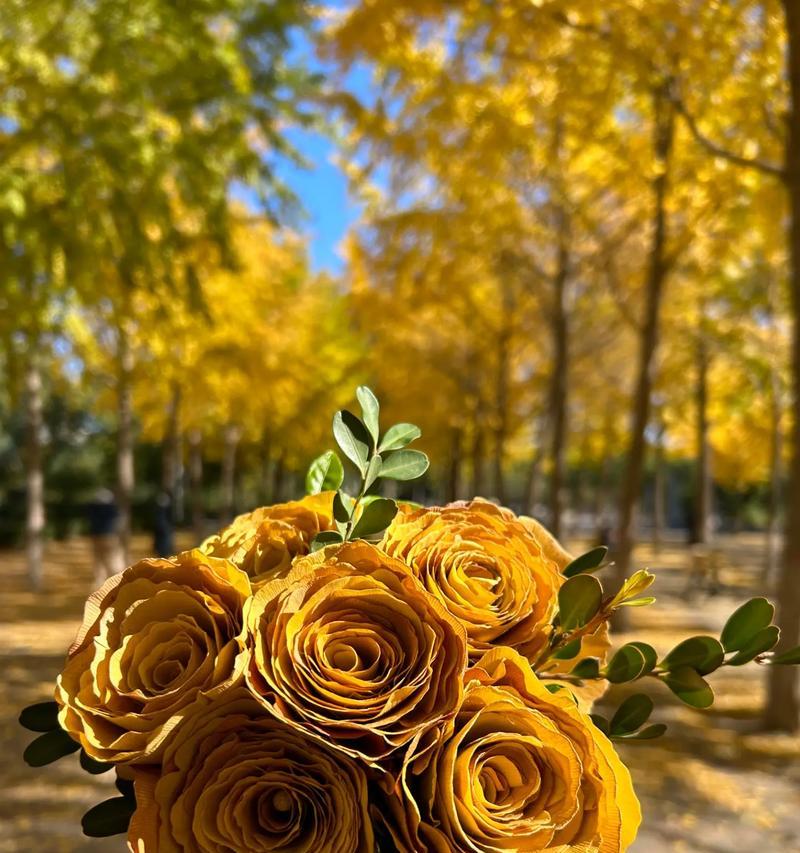 银杏的花是什么样子的？银杏花有哪些特点？