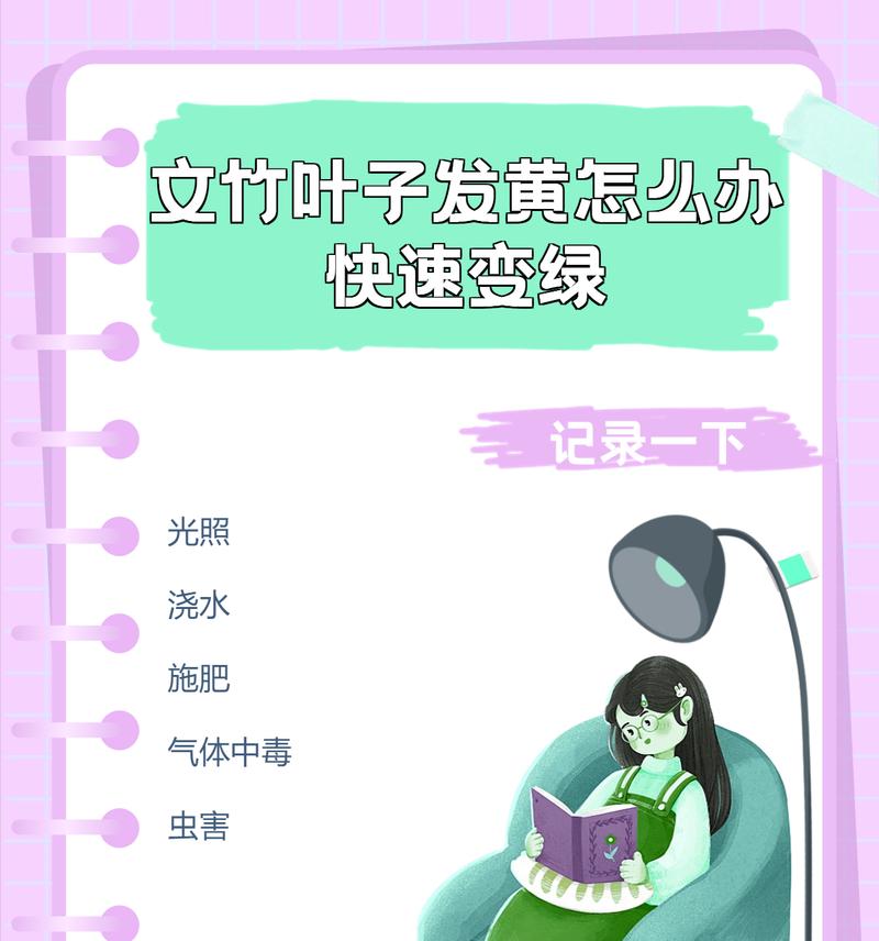 文竹叶子发黄的原因及处理方法是什么？