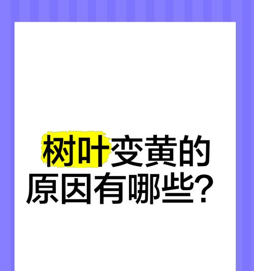 树叶黄是什么原因？树木叶片变黄的常见原因及解决方法是什么？