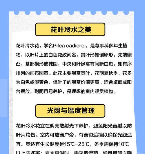 冷水花的养殖方法是什么？怎样才能养出健康的冷水花？