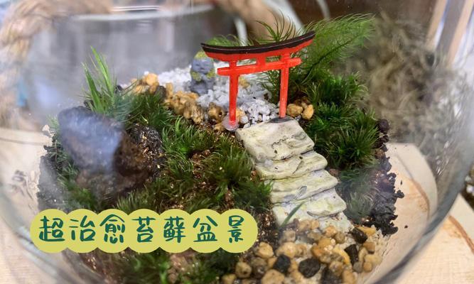 盆景苔藓制作方法是什么？如何保持苔藓的生长？