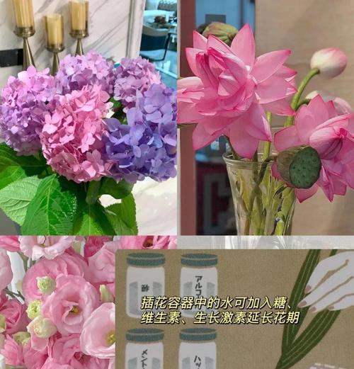 延长花期的方法和技巧有哪些？