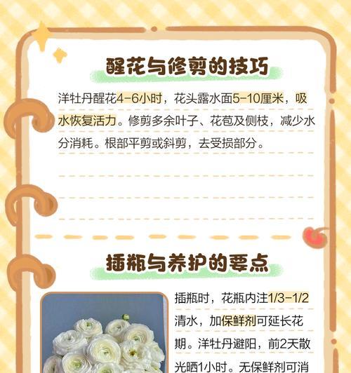富贵花盆栽的养殖技巧和常见问题？