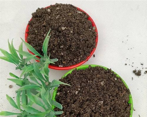 花卉育苗的最佳土壤是什么？如何选择适合育苗的土壤？