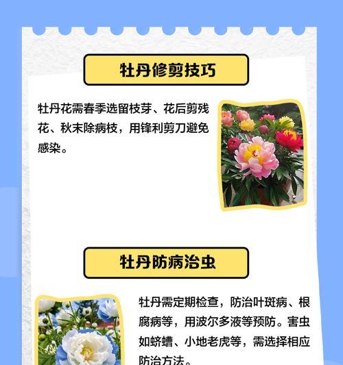 牡丹花修剪的最佳时机是什么时候？如何正确修剪牡丹花？