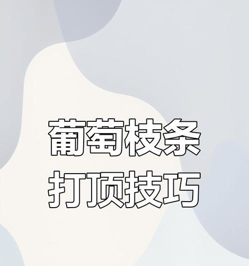 摘心打顶技巧：怎样进行摘心打顶促进植物分枝？