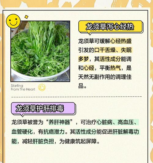 龙须草种植的正确方法是什么？种植后如何管理？