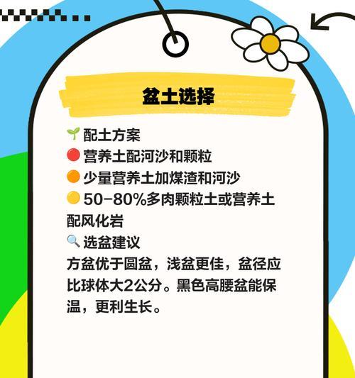 水养仙人球的正确方法是什么？需要注意什么？