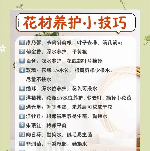 有哪些植物以美丽的花朵著称？它们的养护要点是什么？