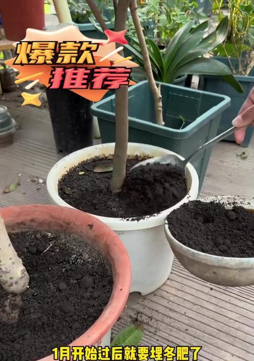 家庭制作花肥的步骤是什么？