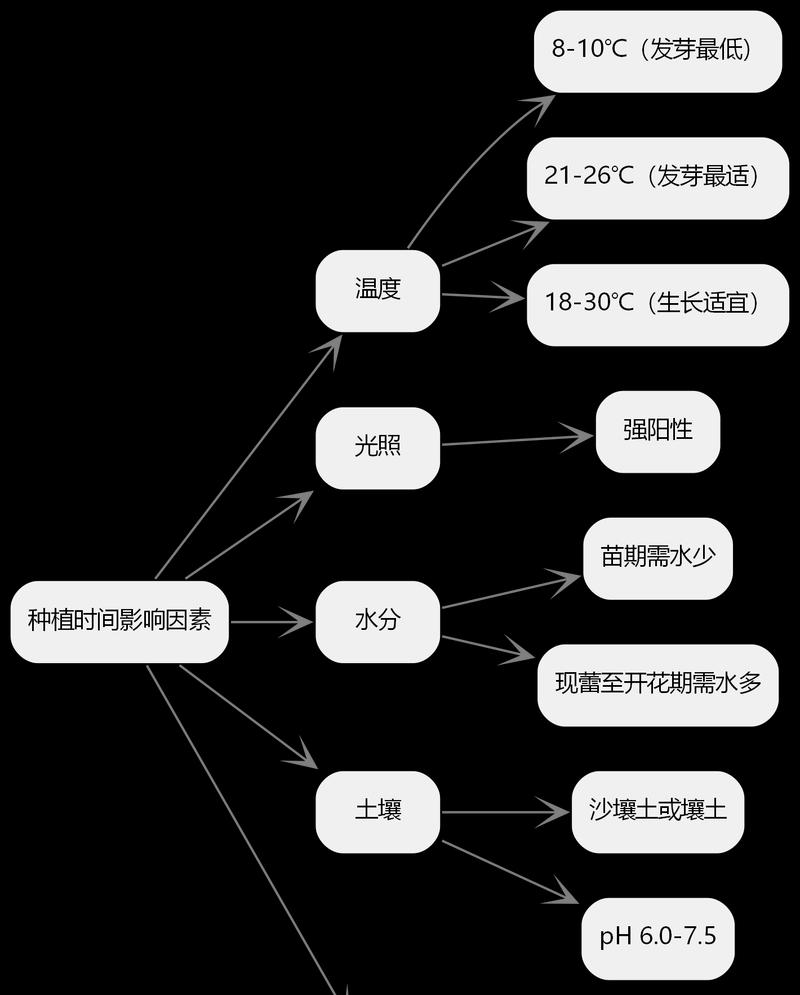 向日葵施肥的最佳时机和方法是什么？