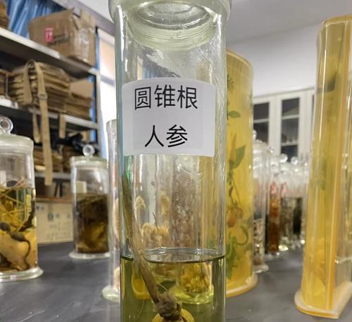 植物控根的方法和目的有哪些？