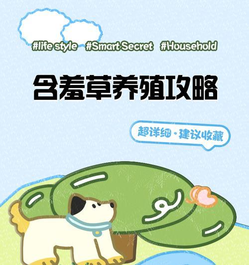 含羞草的养殖方法是什么？如何养好含羞草？