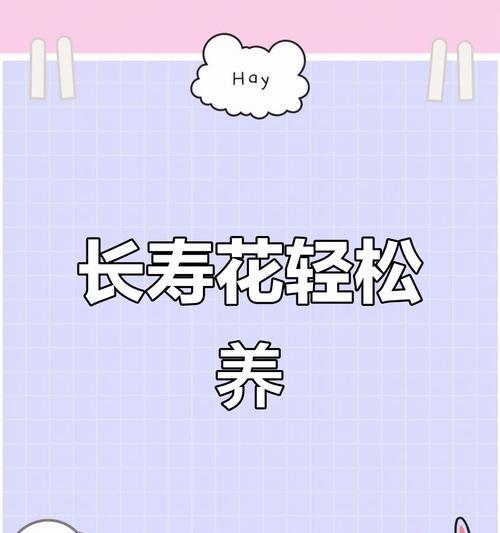 小宫灯长寿花扦插的步骤和技巧是什么？