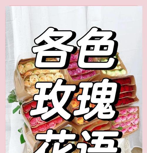三支玫瑰花语是什么？