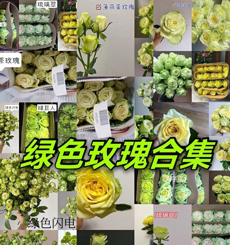 三支玫瑰花语是什么？