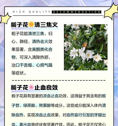 栀子花缺铁症状的补救措施是什么？