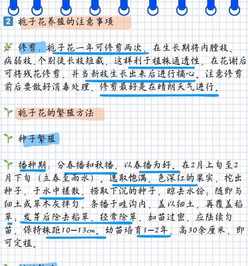 栀子花缺铁症状的补救措施是什么？
