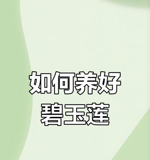 碧玉莲的养护技巧有哪些？