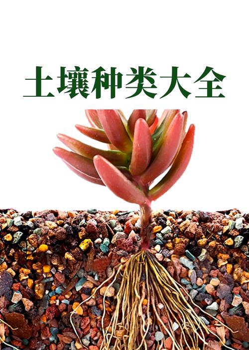 养花什么土最好？选择最佳养花土壤的技巧是什么？