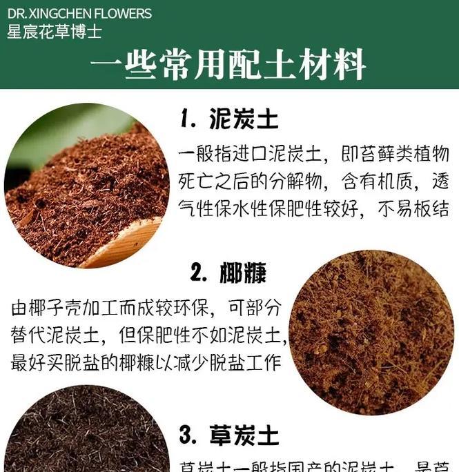 养花什么土最好？选择最佳养花土壤的技巧是什么？