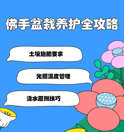 盆栽佛手的养护要点是什么？如何保持佛手果实多？