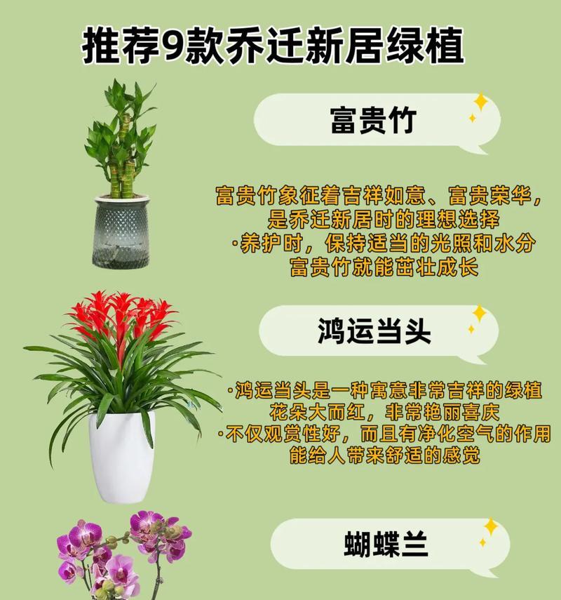 家庭养花品种有哪些？家庭养花品种的选择技巧是什么？