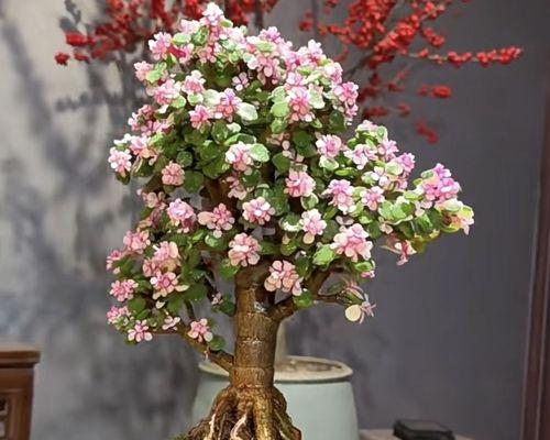 哪种花卉能吸收甲醛？室内净化植物推荐？