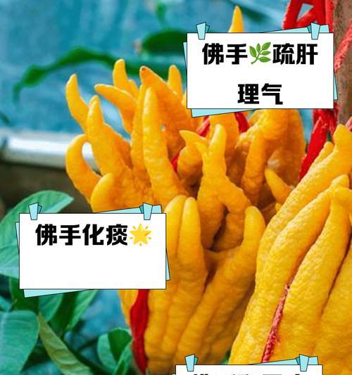 怎么种佛手？佛手种植的正确方法和注意事项有哪些？
